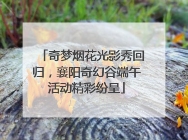 奇梦烟花光影秀回归，襄阳奇幻谷端午活动精彩纷呈