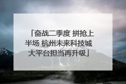 奋战二季度 拼抢上半场 杭州未来科技城大平台担当再升级