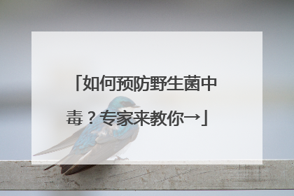 如何预防野生菌中毒？专家来教你→