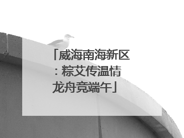 威海南海新区：粽艾传温情 龙舟竞端午