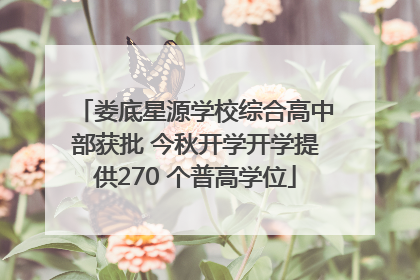 娄底星源学校综合高中部获批 今秋开学开学提供270 个普高学位