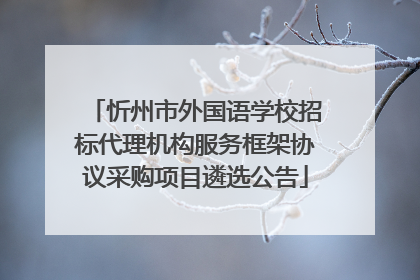 忻州市外国语学校招标代理机构服务框架协议采购项目遴选公告