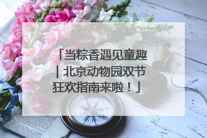 当粽香遇见童趣｜北京动物园双节狂欢指南来啦！