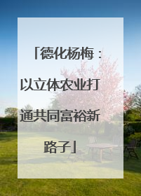 德化杨梅：以立体农业打通共同富裕新路子