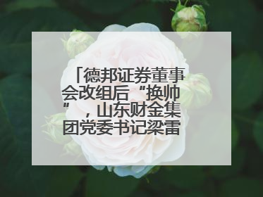 德邦证券董事会改组后“换帅”，山东财金集团党委书记梁雷出任董事长