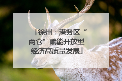 徐州：港务区“两仓”赋能开放型经济高质量发展