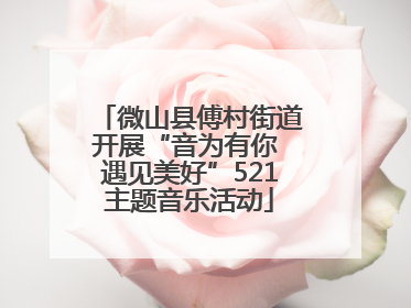 微山县傅村街道开展“音为有你 遇见美好”521主题音乐活动