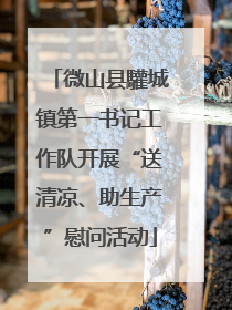 微山县驩城镇第一书记工作队开展“送清凉、助生产”慰问活动