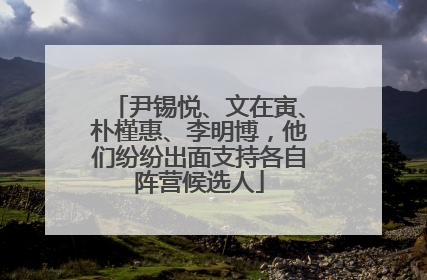 尹锡悦、文在寅、朴槿惠、李明博，他们纷纷出面支持各自阵营候选人
