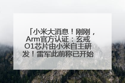 小米大消息！刚刚，Arm官方认证：玄戒O1芯片由小米自主研发！雷军此前称已开始大规模量产