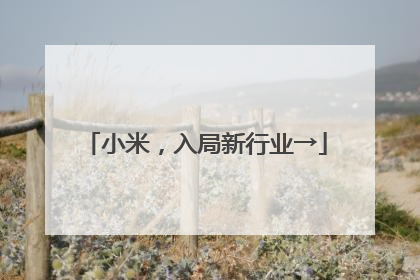 小米，入局新行业→