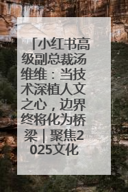 小红书高级副总裁汤维维：当技术深植人文之心，边界终将化为桥梁｜聚焦2025文化强国建设高峰论坛