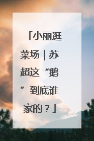 小丽逛菜场｜苏超这“鹅”到底谁家的？