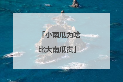 小南瓜为啥比大南瓜贵