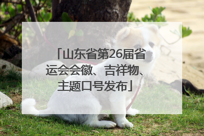 山东省第26届省运会会徽、吉祥物、主题口号发布