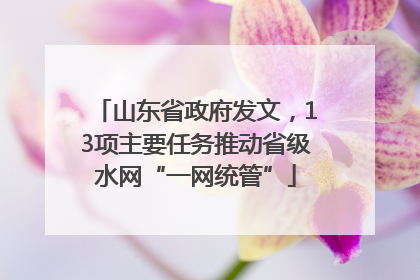 山东省政府发文，13项主要任务推动省级水网“一网统管”