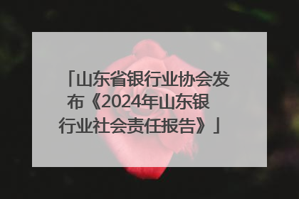 山东省银行业协会发布《2024年山东银行业社会责任报告》