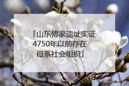 山东傅家遗址实证4750年以前存在母系社会组织