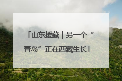 山东援藏｜另一个“青岛”正在西藏生长