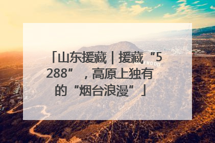 山东援藏｜援藏“5288”，高原上独有的“烟台浪漫”