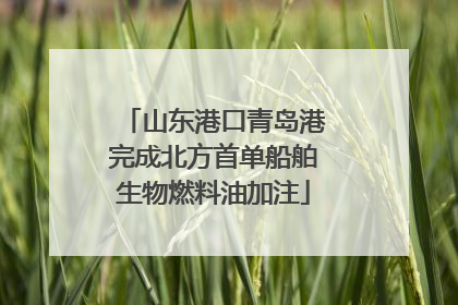 山东港口青岛港完成北方首单船舶生物燃料油加注