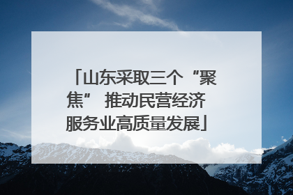 山东采取三个“聚焦” 推动民营经济服务业高质量发展