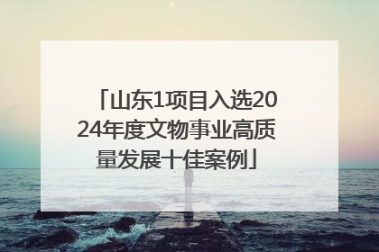 山东1项目入选2024年度文物事业高质量发展十佳案例