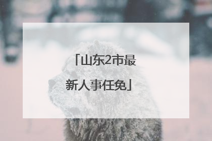 山东2市最新人事任免