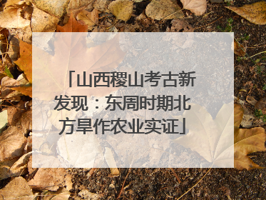 山西稷山考古新发现：东周时期北方旱作农业实证