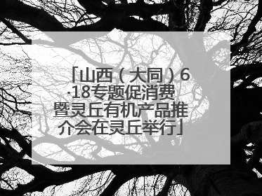 山西（大同）6·18专题促消费暨灵丘有机产品推介会在灵丘举行