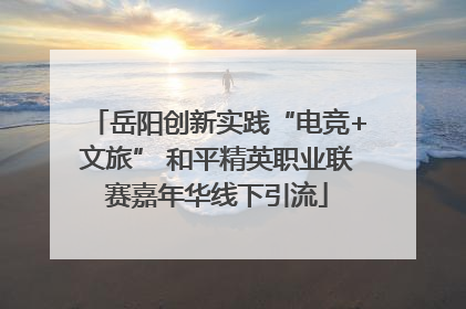 岳阳创新实践“电竞+文旅” 和平精英职业联赛嘉年华线下引流