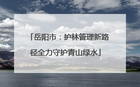 岳阳市：护林管理新路径全力守护青山绿水