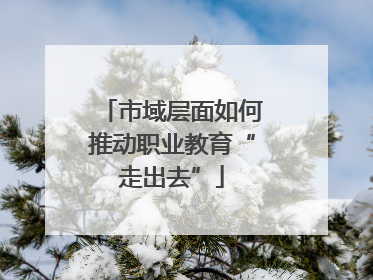市域层面如何推动职业教育“走出去”