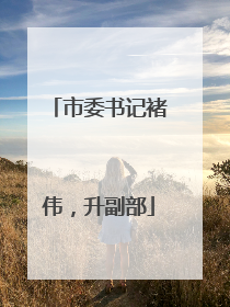 市委书记褚伟，升副部