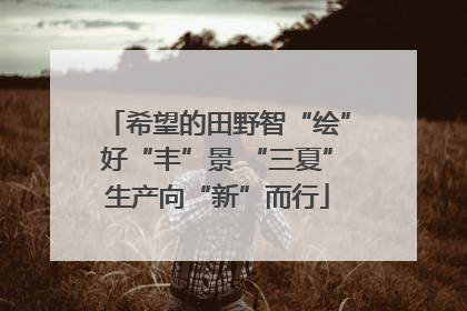 希望的田野智“绘”好“丰”景 “三夏”生产向“新”而行