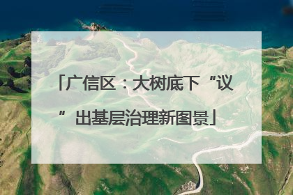 广信区：大树底下“议”出基层治理新图景