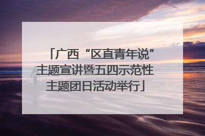 广西“区直青年说”主题宣讲暨五四示范性主题团日活动举行