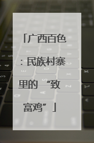 广西百色：民族村寨里的 “致富鸡”