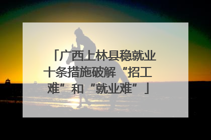 广西上林县稳就业十条措施破解“招工难”和“就业难”