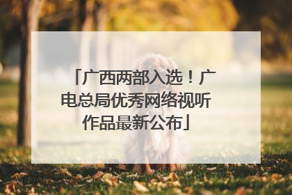 广西两部入选！广电总局优秀网络视听作品最新公布