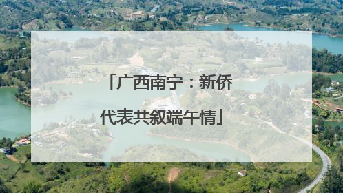广西南宁：新侨代表共叙端午情