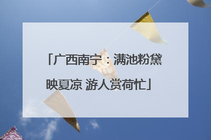广西南宁：满池粉黛映夏凉 游人赏荷忙