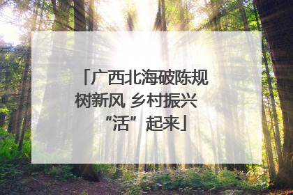 广西北海破陈规树新风 乡村振兴“活”起来