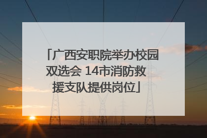 广西安职院举办校园双选会 14市消防救援支队提供岗位