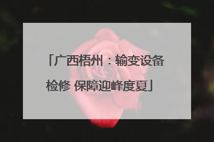 广西梧州：输变设备检修 保障迎峰度夏