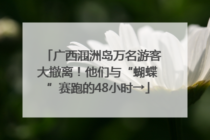 广西涠洲岛万名游客大撤离！他们与“蝴蝶”赛跑的48小时→