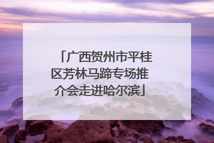 广西贺州市平桂区芳林马蹄专场推介会走进哈尔滨