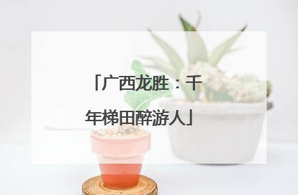 广西龙胜：千年梯田醉游人