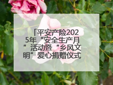 平安产险2025年“安全生产月”活动暨“乡风文明”爱心捐赠仪式在菏泽单县举行