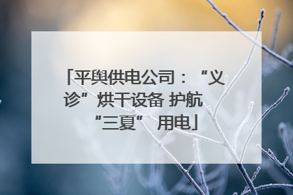 平舆供电公司：“义诊”烘干设备 护航 “三夏” 用电